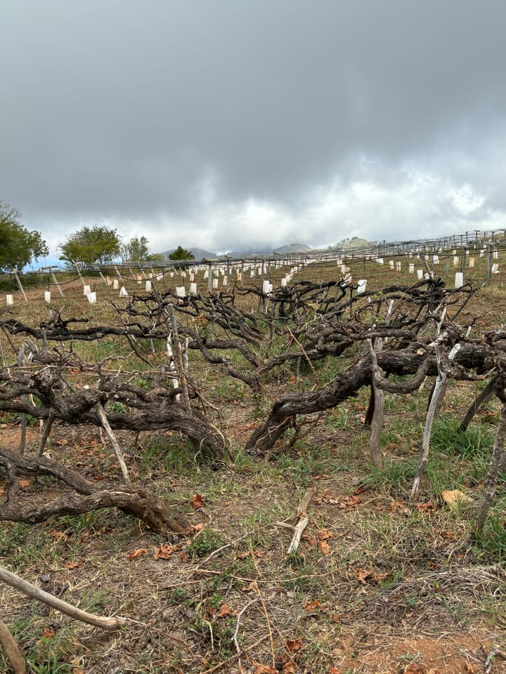 The Wine Triangle